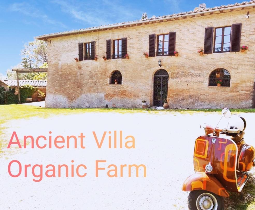 Villa Poggio Al Sole Bio Agriturismo Private Pool San Rocco a Pilli Exterior foto