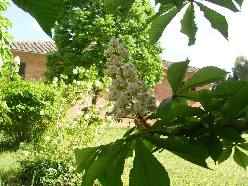 Villa Poggio Al Sole Bio Agriturismo Private Pool San Rocco a Pilli Exterior foto